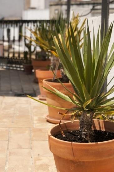Apartamentos Almirante Hoyos Seville Luaran gambar